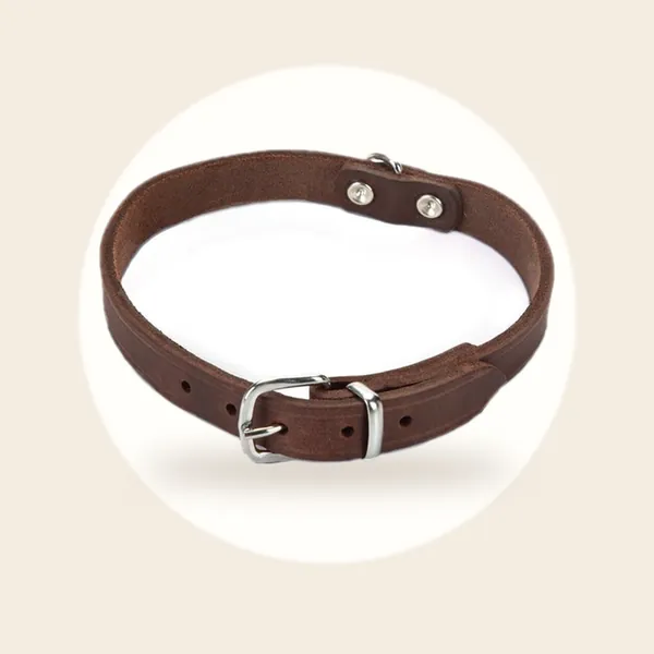 Beeztees - Halsband Hond - Leer - Bruin - 35,5-41,5 cm x 18 mm