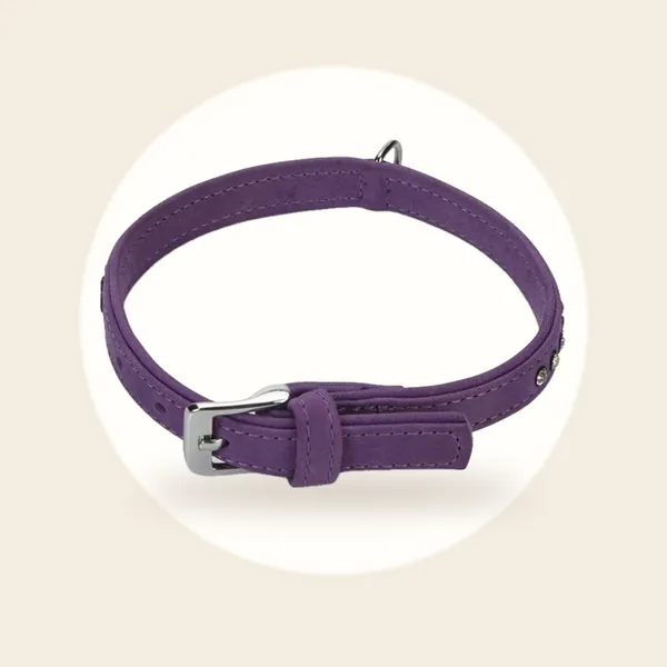 Beeztees leren halsband Buffalo Strass. Paars. 40 cm x 17 mm.