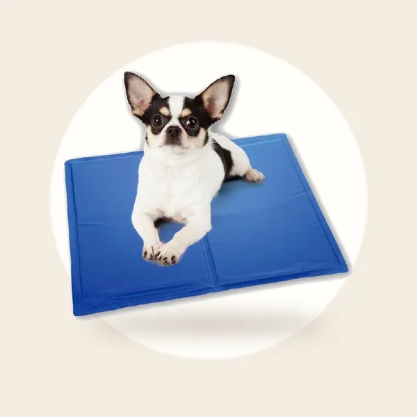 Koelmat - Honden - Maat S - 40x30cm