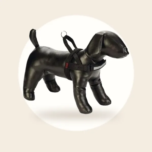 Beeztees Hondentuig Parinca Premium Comfort - Hondenharnas kleine honden
