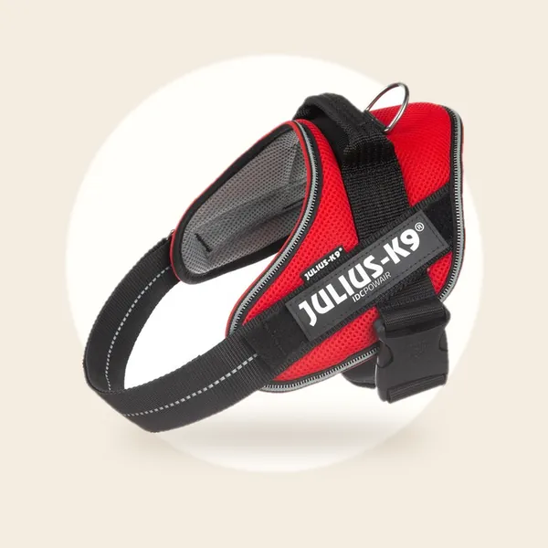 Julius-K9 IDCPowair-tuig, M - maat 0, rood