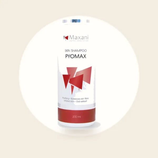 Maxani PyoMax Skin Shampoo