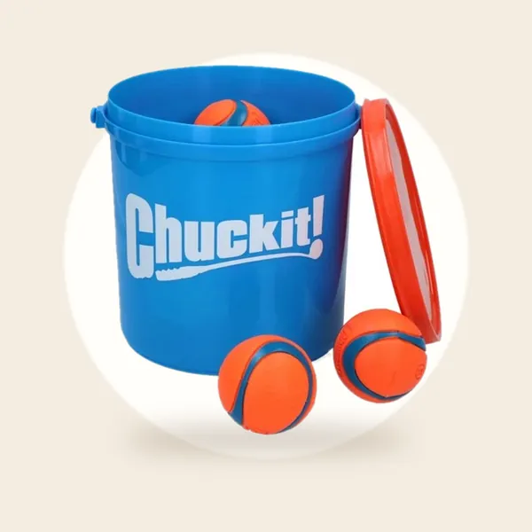 Chuckit! Bucket 8 Ballen M Ø6cm - Drijvend Apporteerspeelgoed - Oranje