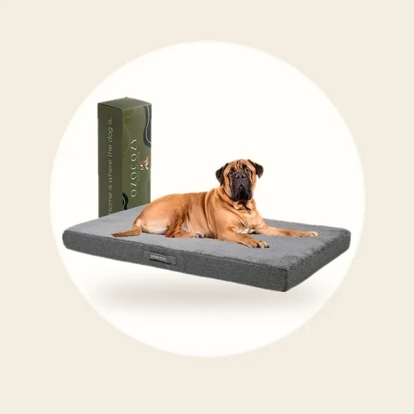Ozocozy - Orthopedisch Hondenkussen - Maat XL - Grijs - Anti-slip