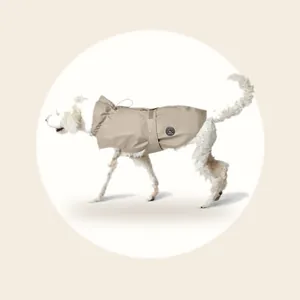 Regenjas Hond Taupe Maat 40