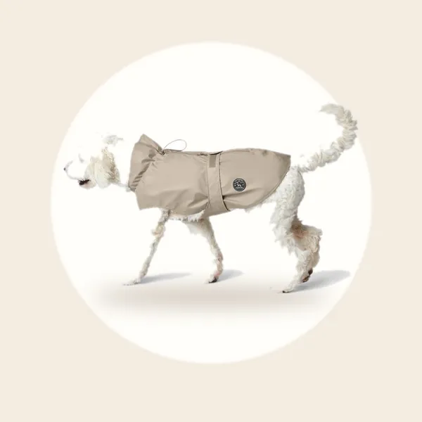Regenjas Hond Taupe Maat 40
