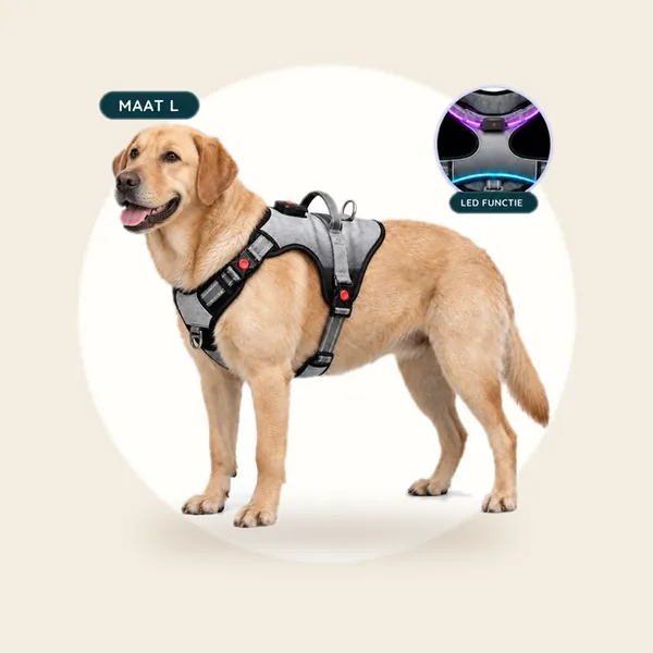Premium Pets Hondentuig - Y Tuig hond - Harnas Hond