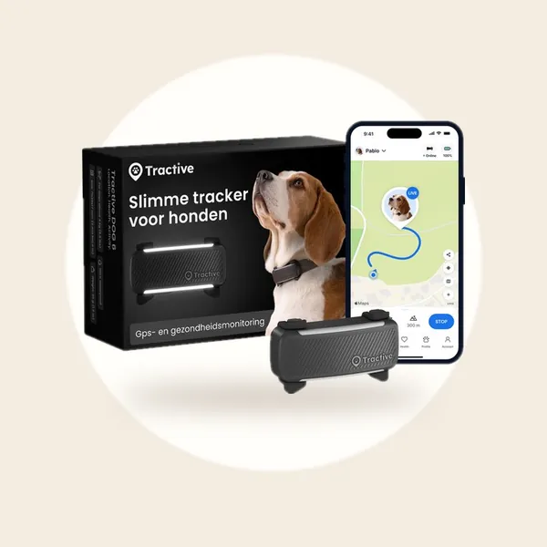 Tractive DOG 6 - Honden GPS met Gezondheid & Activity Functies