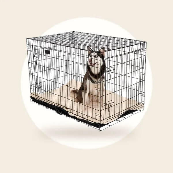 Brixy Hondenbench - Bench Voor Honden - Maat XXL - Opvouwbaar