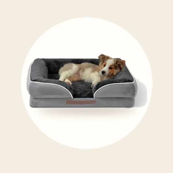 Homeblend Orthopedische Hondenmand 71x59 cm - Grijs - Wasbaar