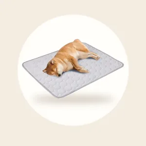 Zomerkoelmat Voor Huisdieren