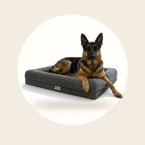 Pebble Orthopedische Hondenmand 107x81 cm - Wasbaar - Teddy - Grijs