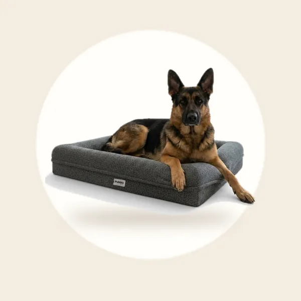 Pebble Orthopedische Hondenmand - Teddy - Grijs - 107x81 cm