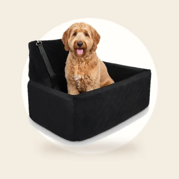 Goldcave Hondenmand Auto - Gordel & Dubbele Riem - Luxe Velvet Zwart
