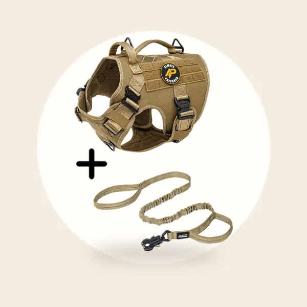 Always Prepared Pro Combi Deal - Hondentuig + Riem