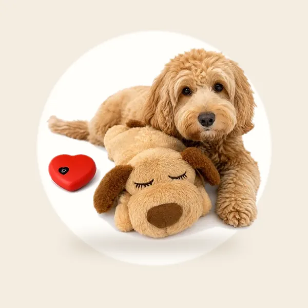 ZoeZo Knuffel met Hartslag - Puppy Knuffel Hond - Honden Speelgoed