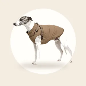 Dogs&Co Warme Hondenjas 2.0 groen Maat XXL