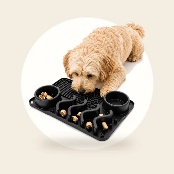 ZoeZo Likmat Hond 31 x 21 cm - Snuffelmat - Antischrokbak